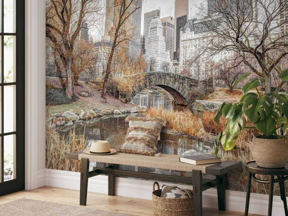 Central park in winter