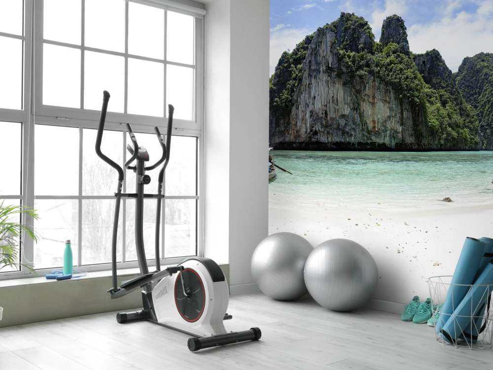 Long tail boat at island