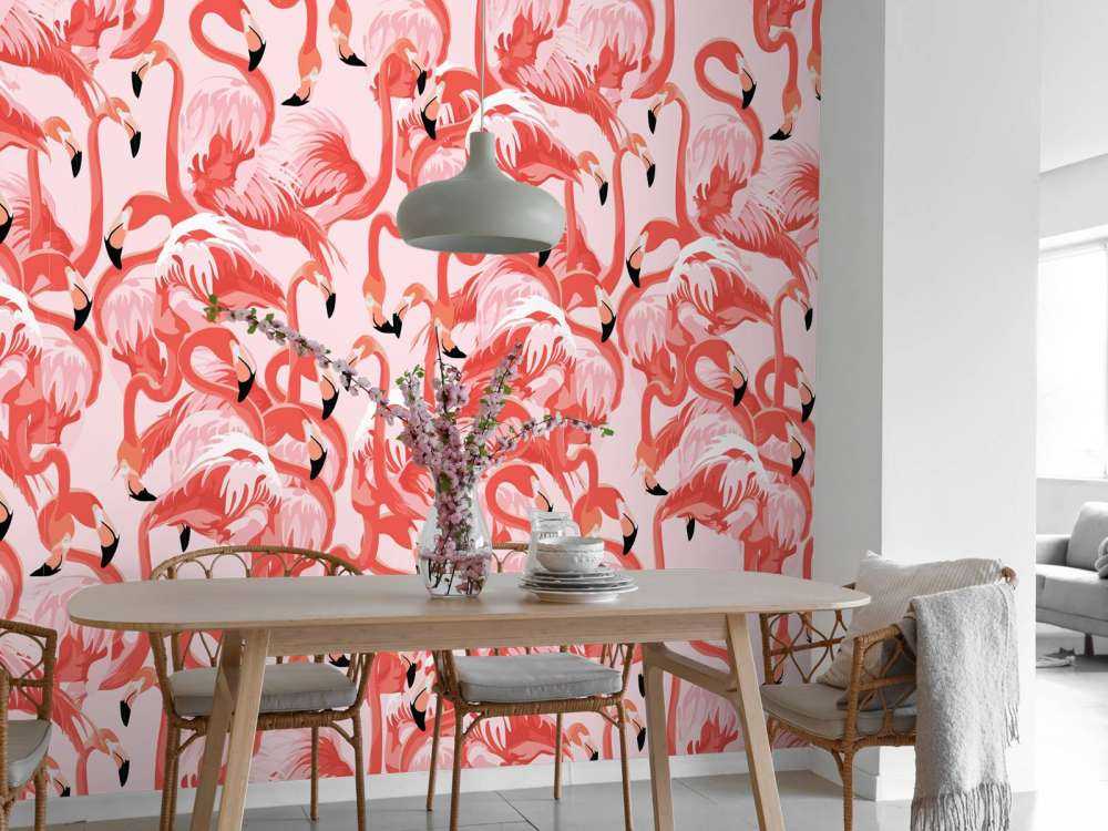Exotic flamingos