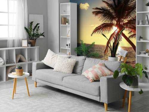Tropical beach