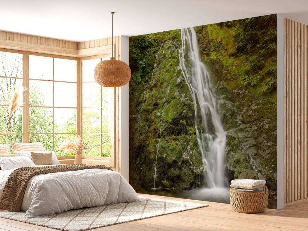 Waterfall with beautiful greenery