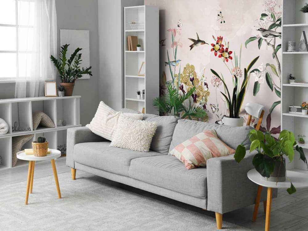 A garden full of my dreams