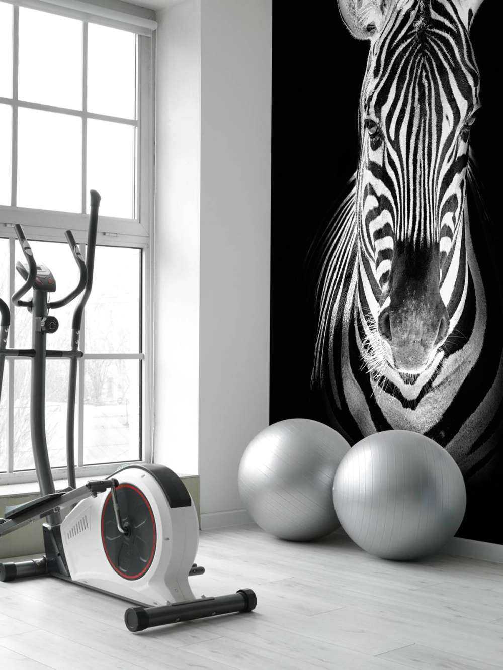 Close-up zebra black and white