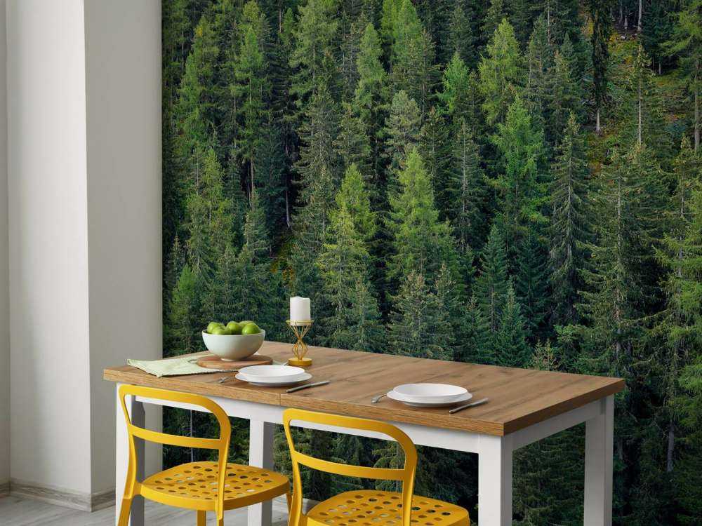 Green spruce forest