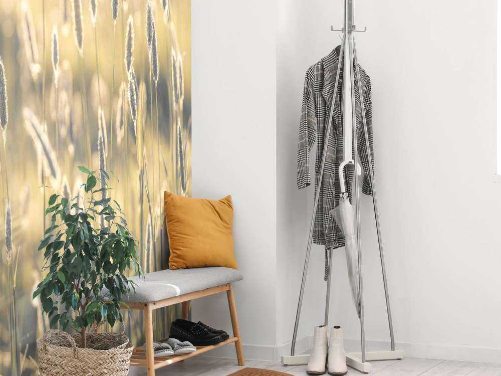 Summer meadow close-up