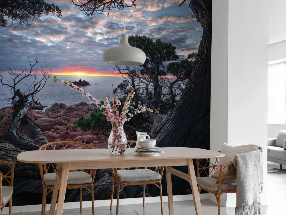 Frame around the sun