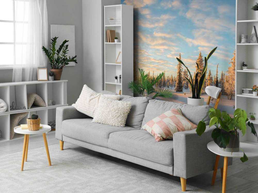 Snow landscape at sunset