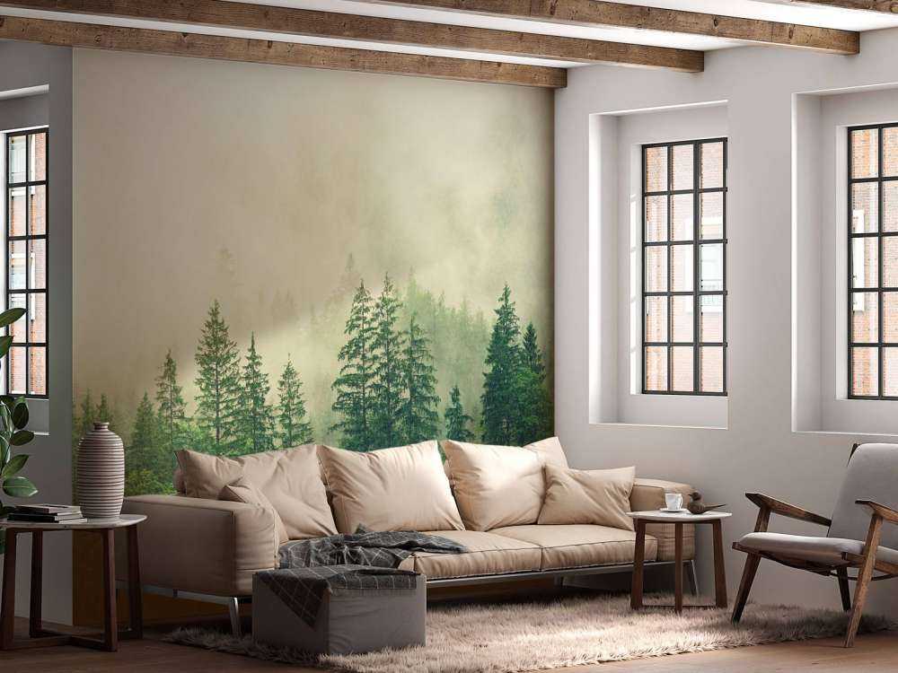 Pine trees in the fog