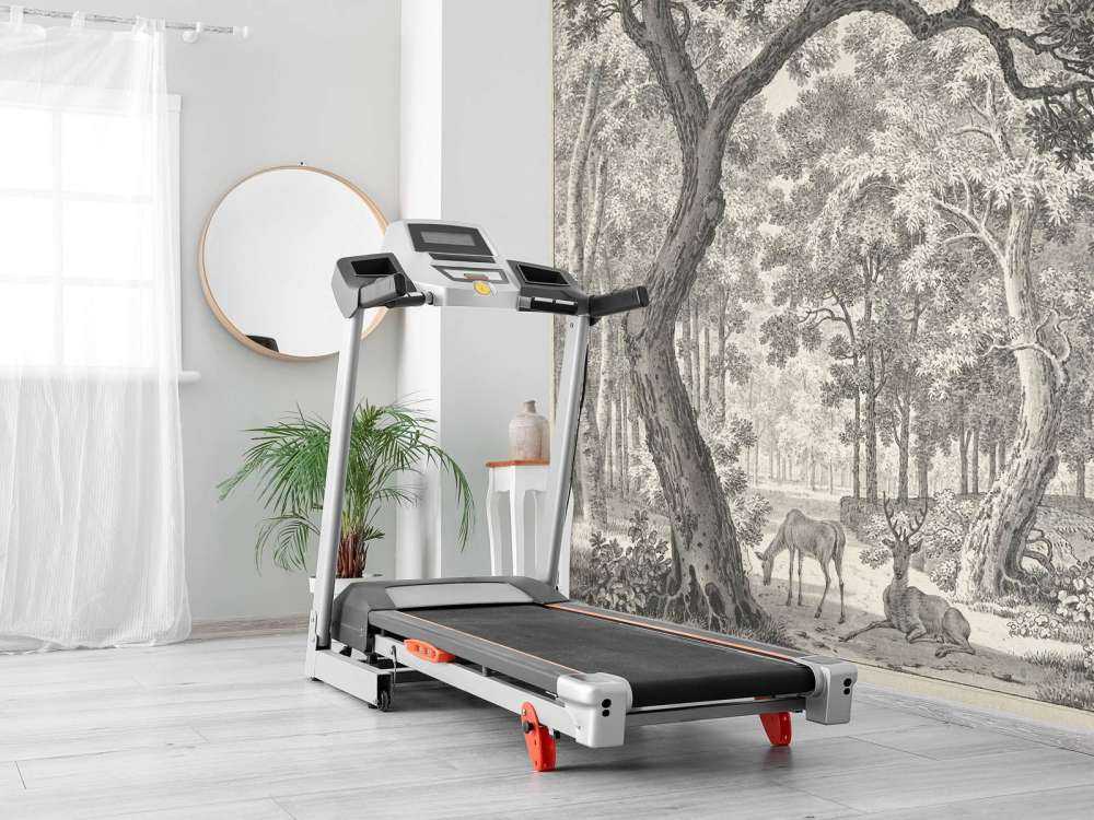 Forest view with two deer