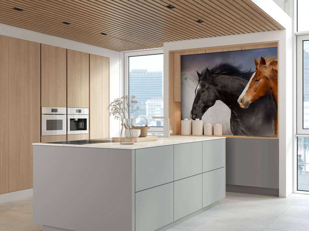 Herd of horses