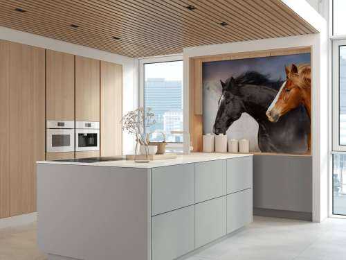Herd of horses