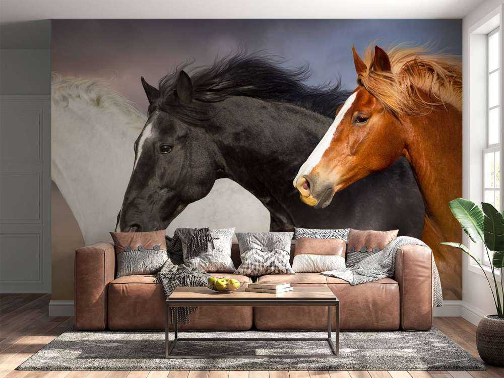 Herd of horses