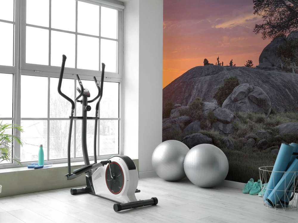 Sunset over the savannah