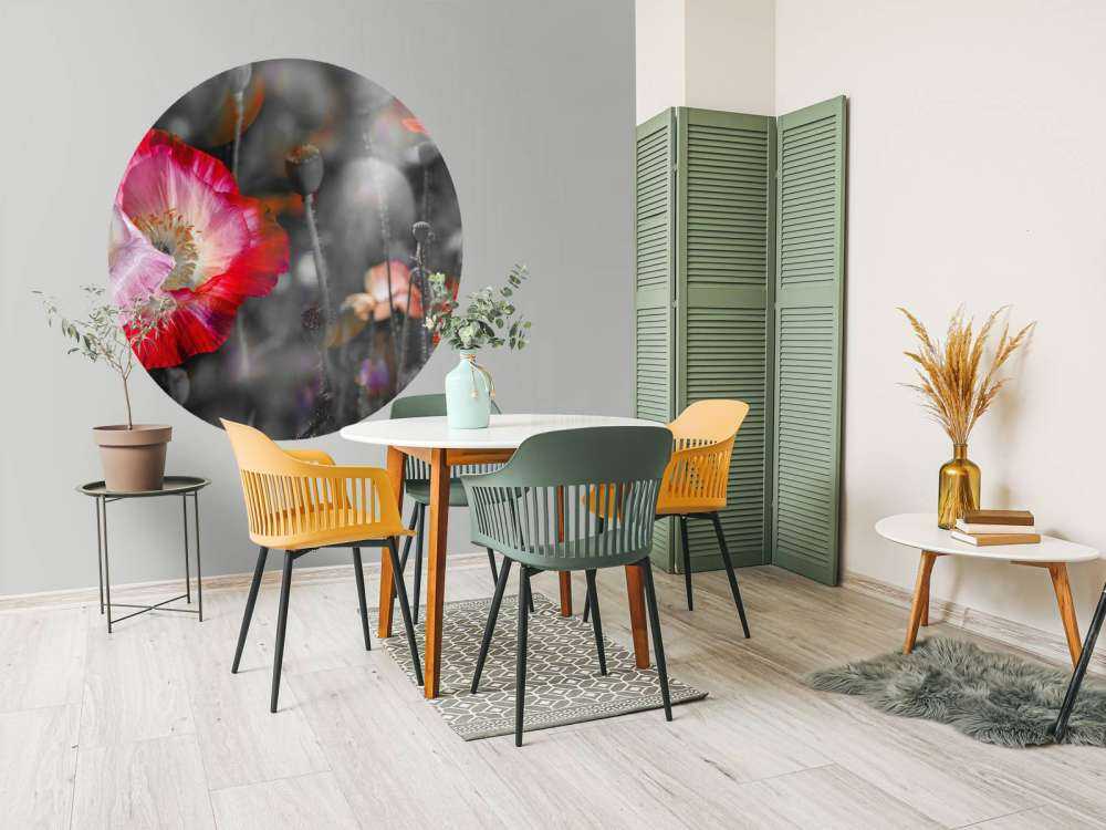 Poppies in black, white, red