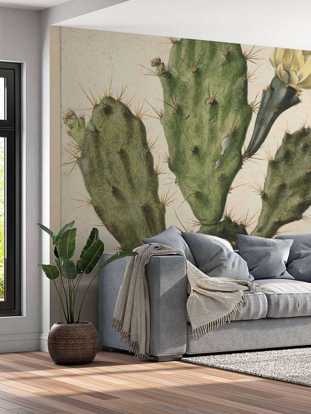 Flowering fig cactus