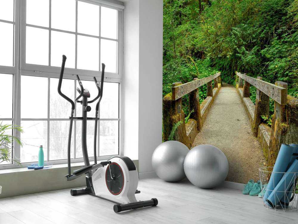 Bridge in the forest