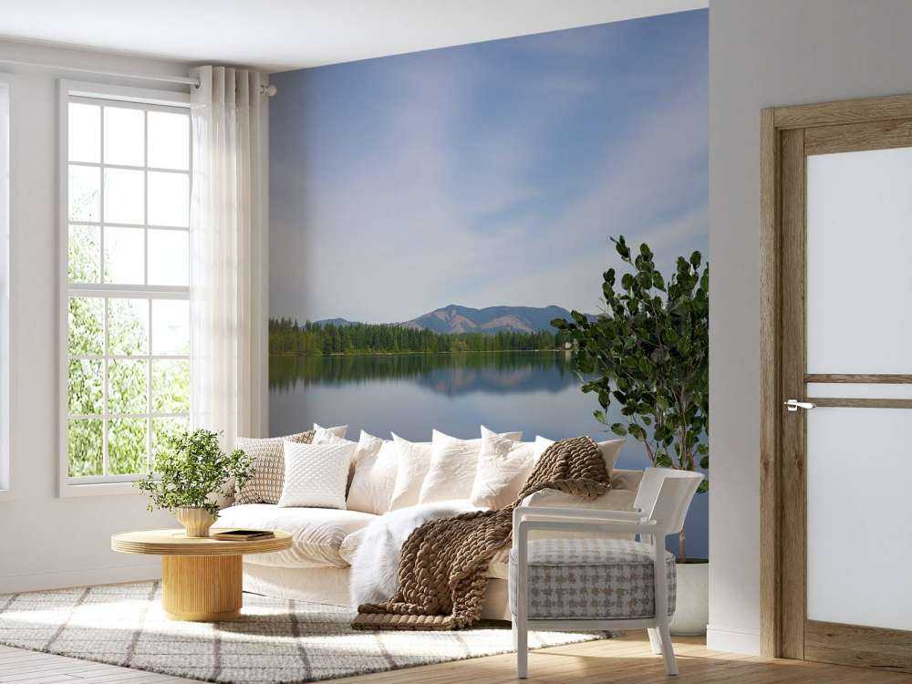 Reflection in the lake