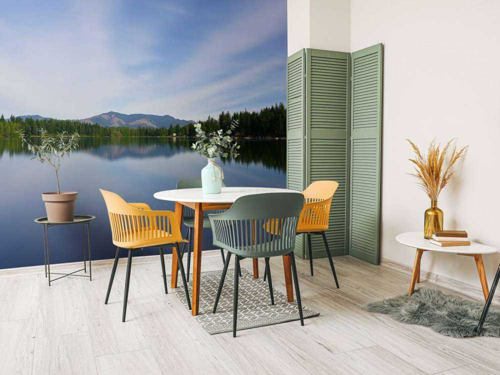 Reflection in the lake