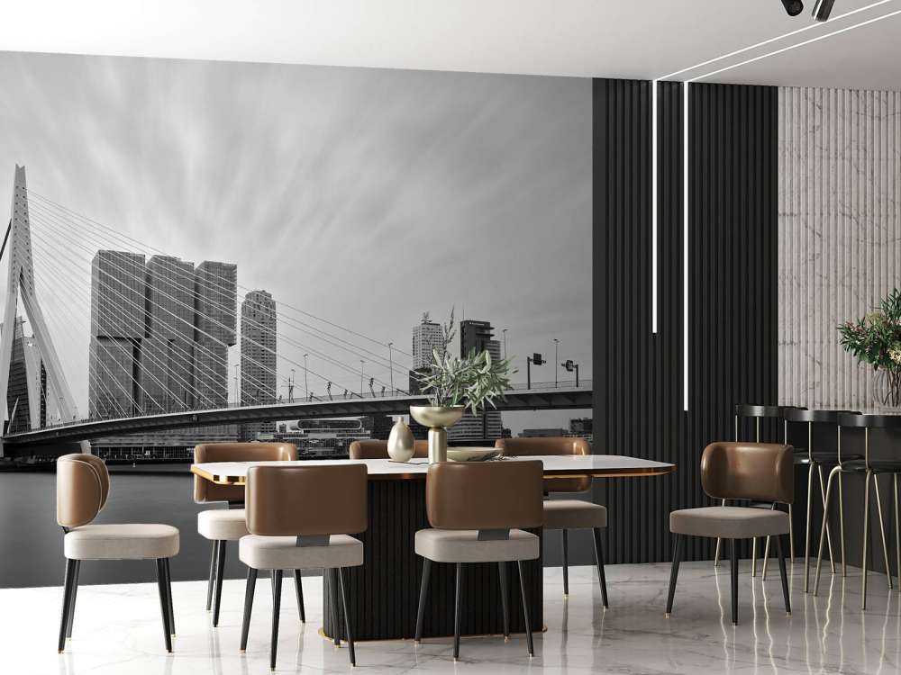 Erasmus bridge black and white 