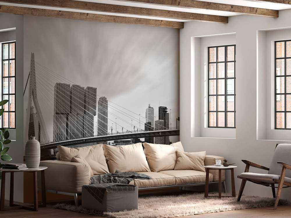 Erasmus bridge black and white 