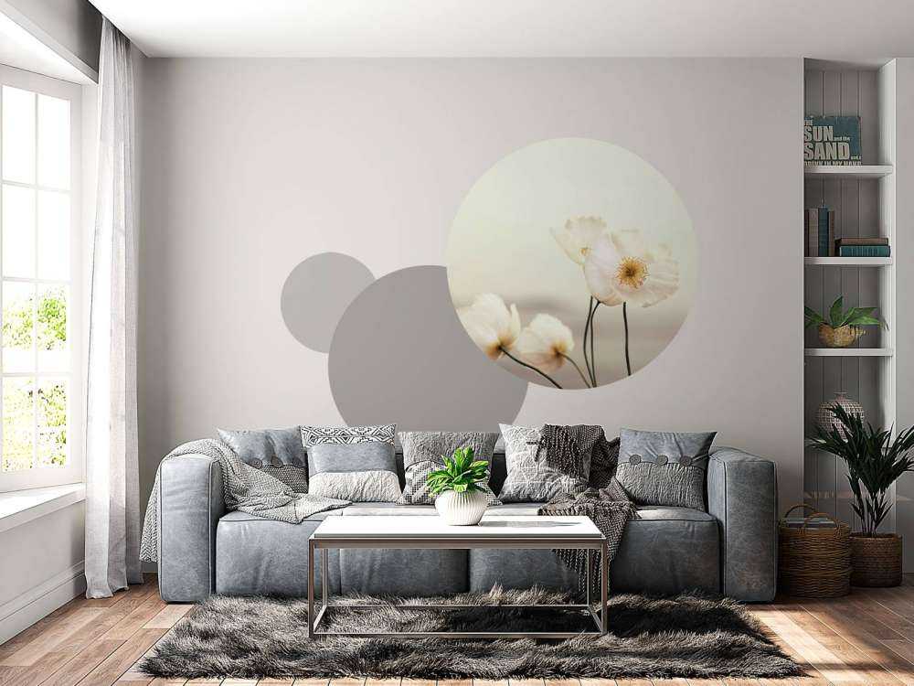 White poppies close-up