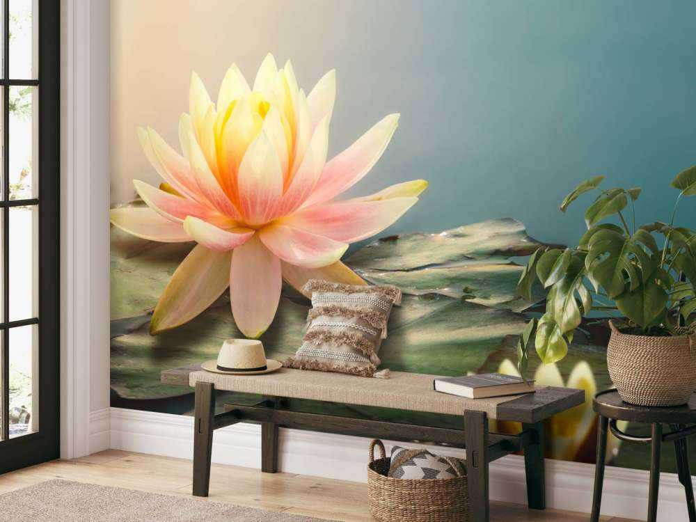 Pond with lotus flowers