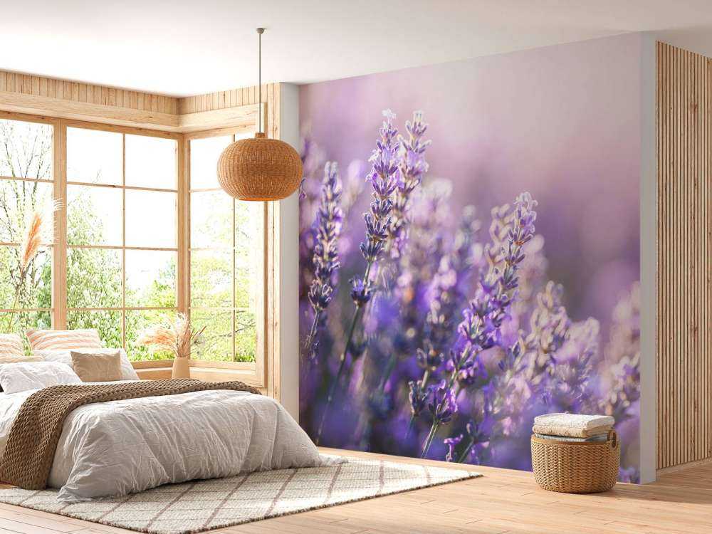 Dreamy lavender