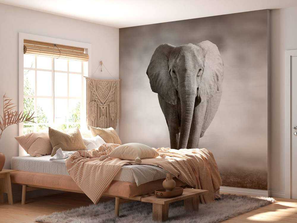 Beautiful elephant