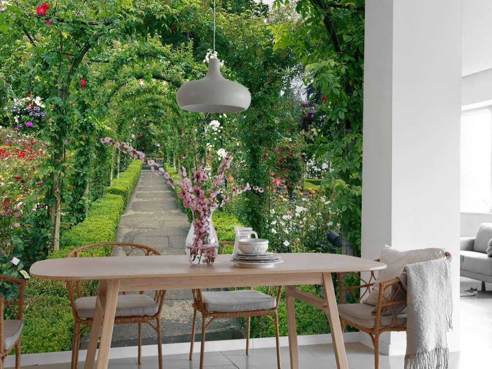 Path through rose garden