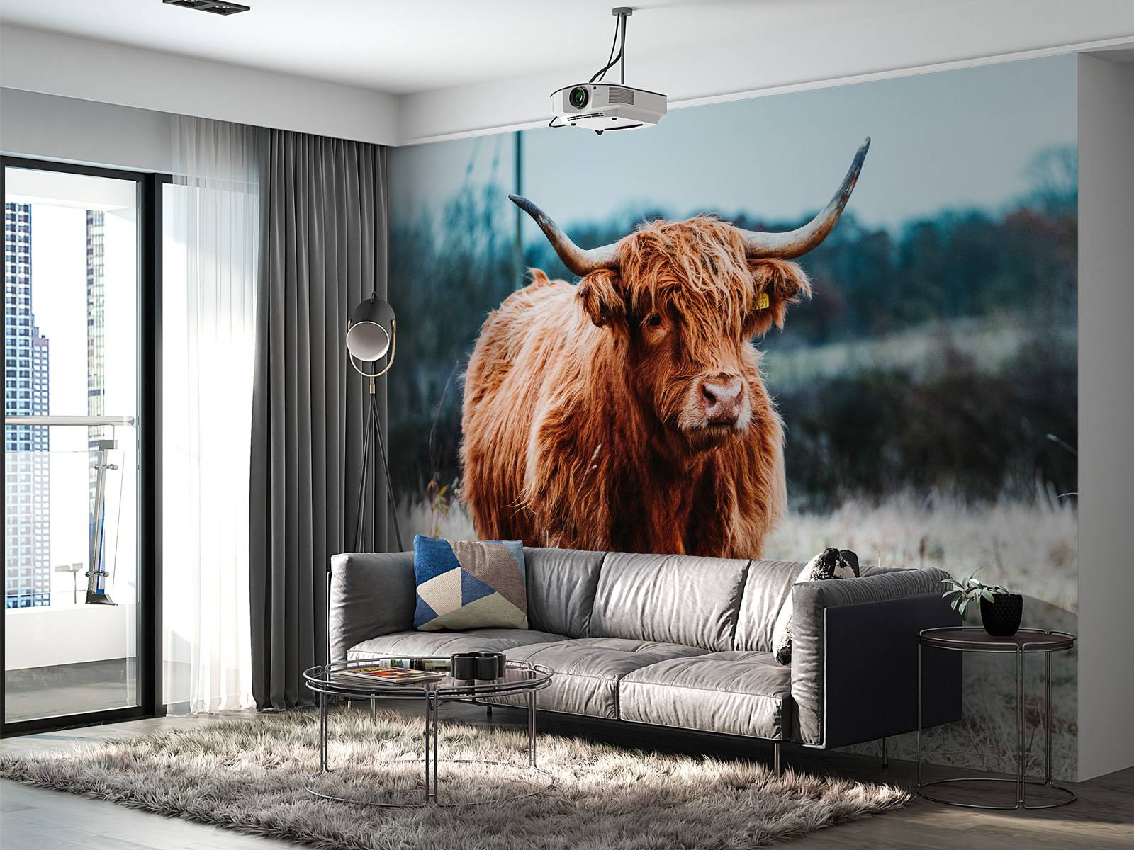 Scottish highlander in the forest