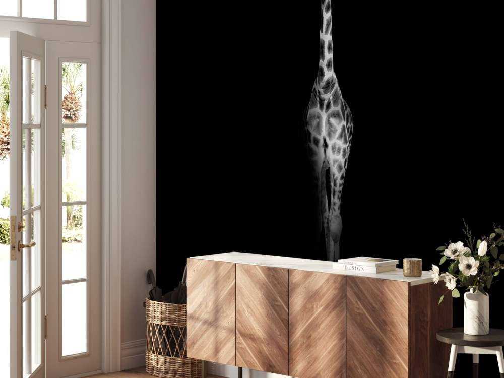 Giraffe black and white