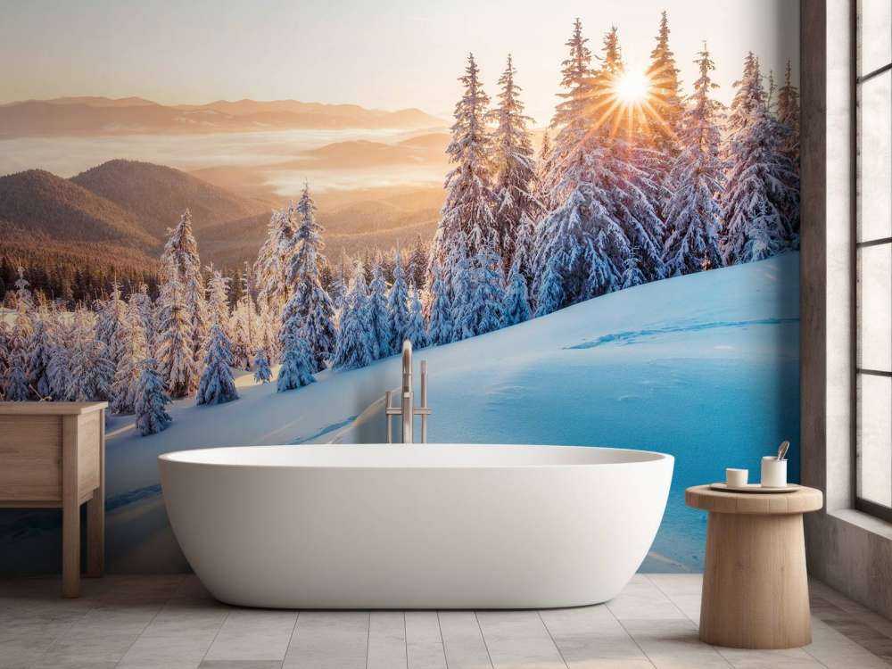 Winter morning in the mountains