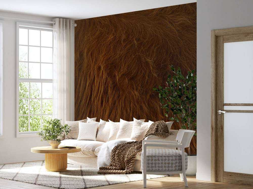 Scottish Highlander coat