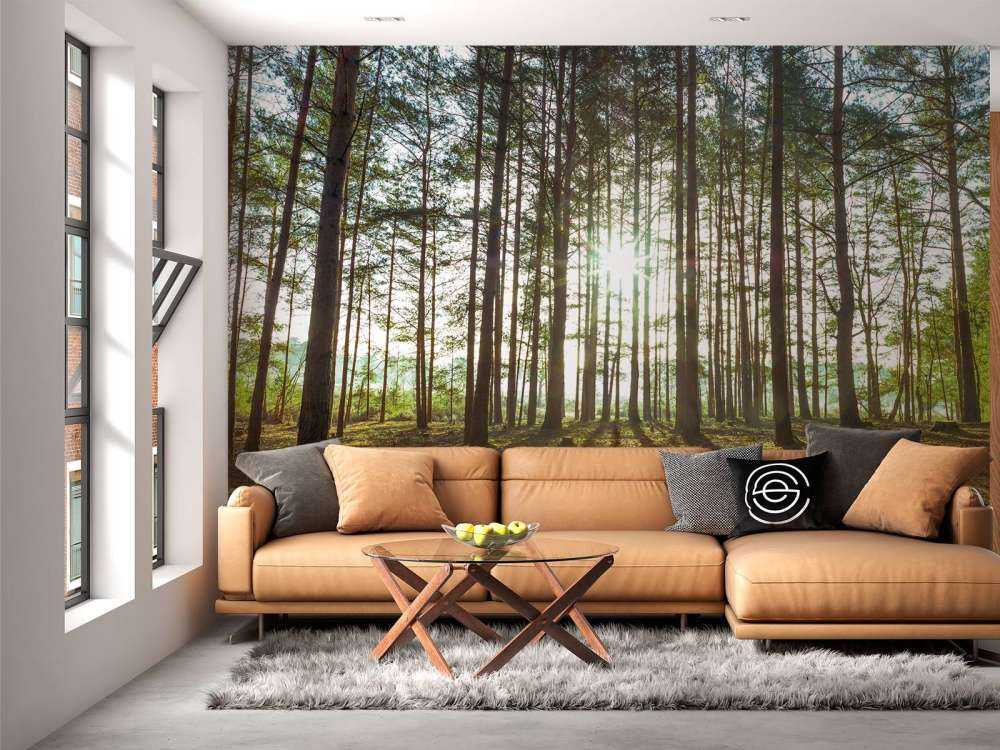 Sun rays through trees