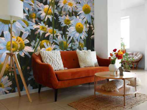 Vintage Daisies