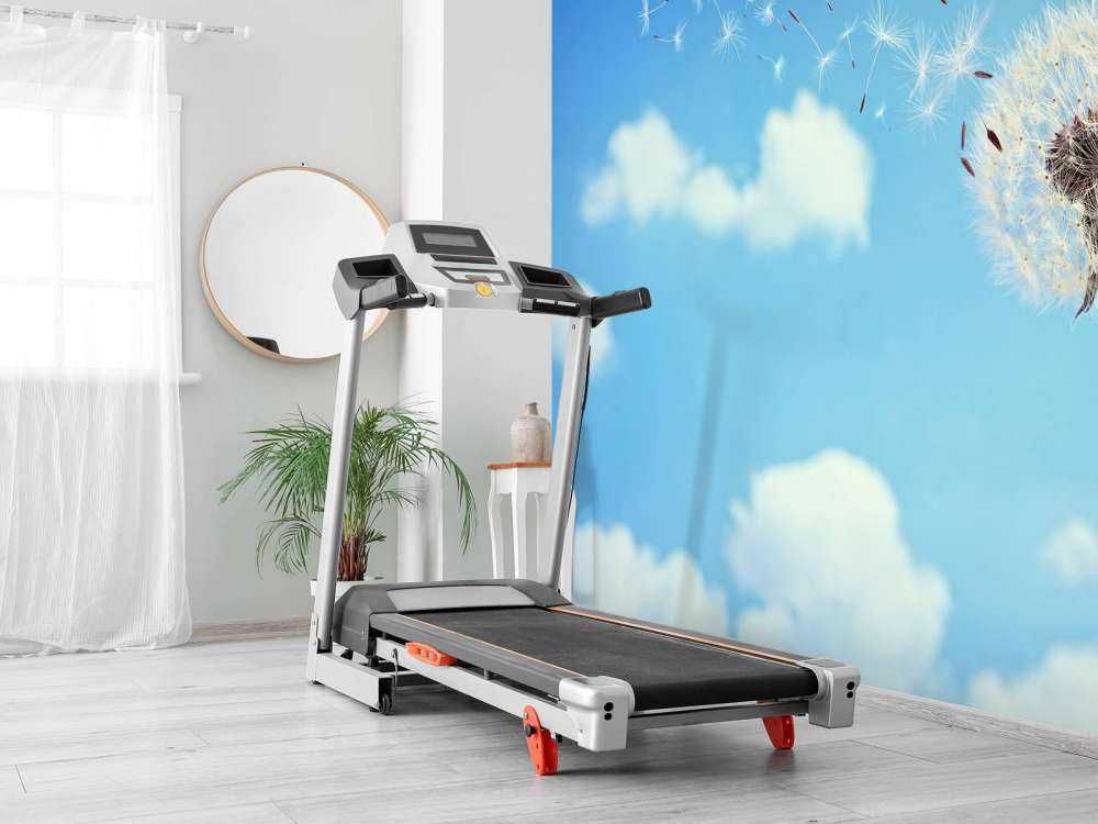 Flying dandelion seeds