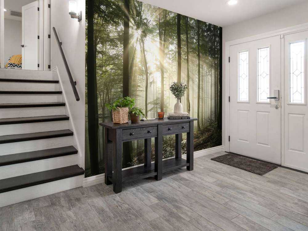 Autumn deciduous forest