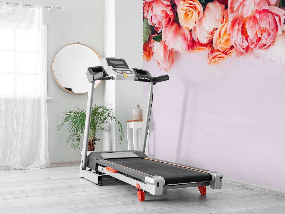 Roses in different shades of pink