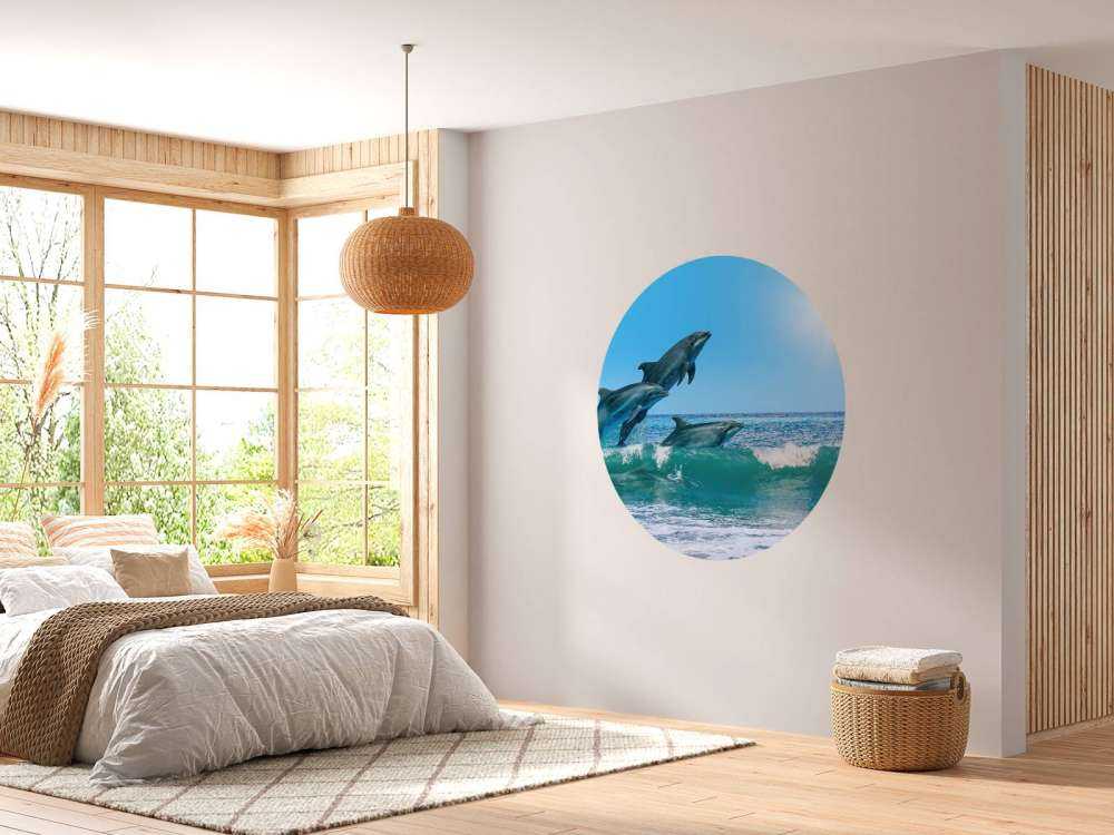 Dolphins at the coast