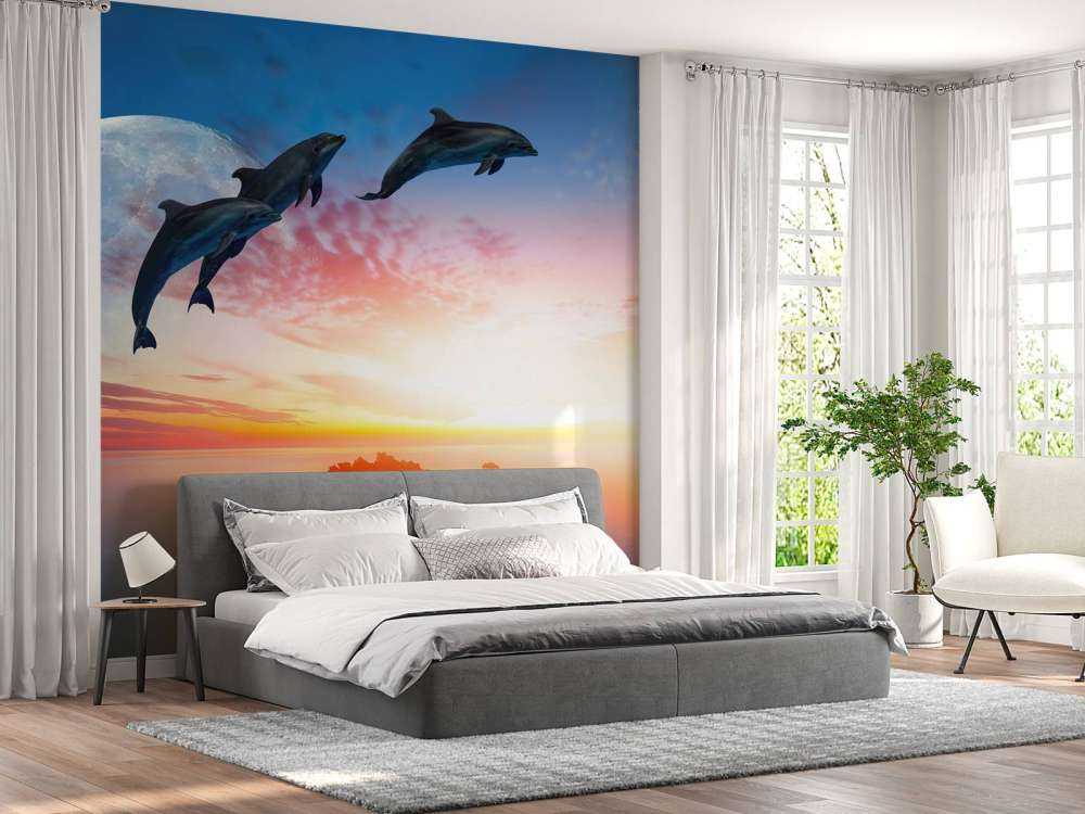 Dolphins in the night