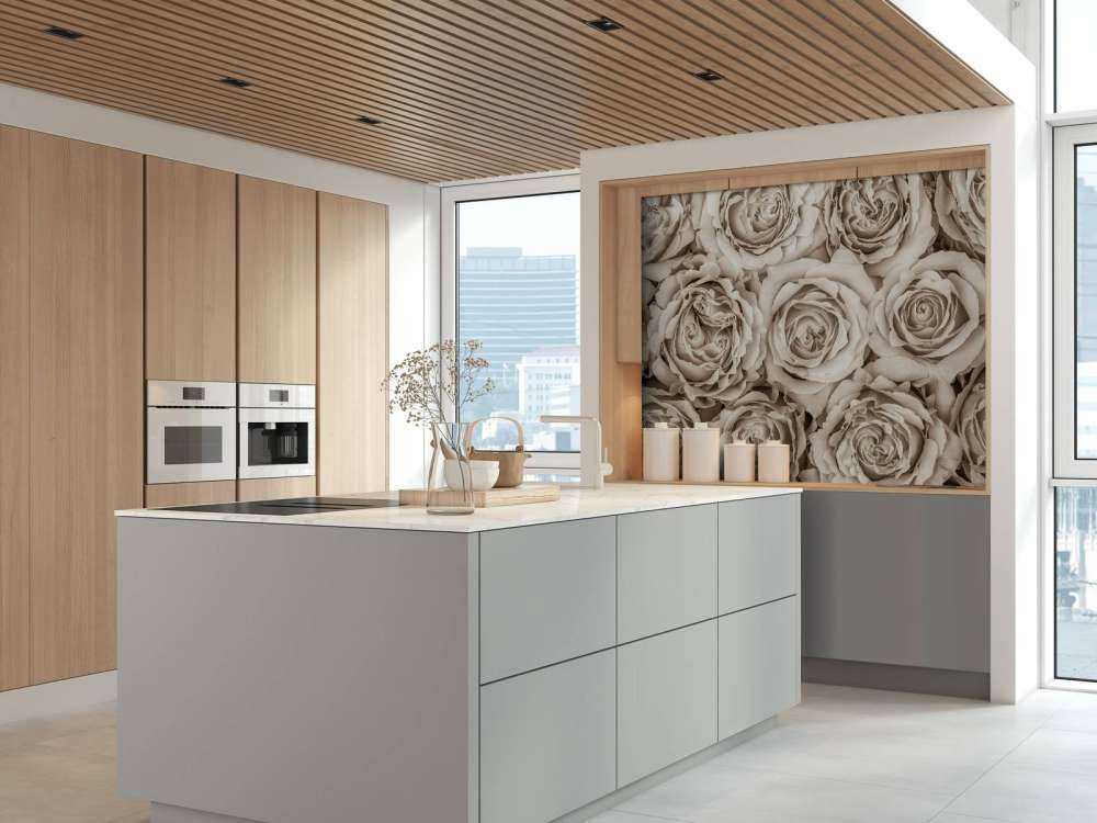 Background of roses