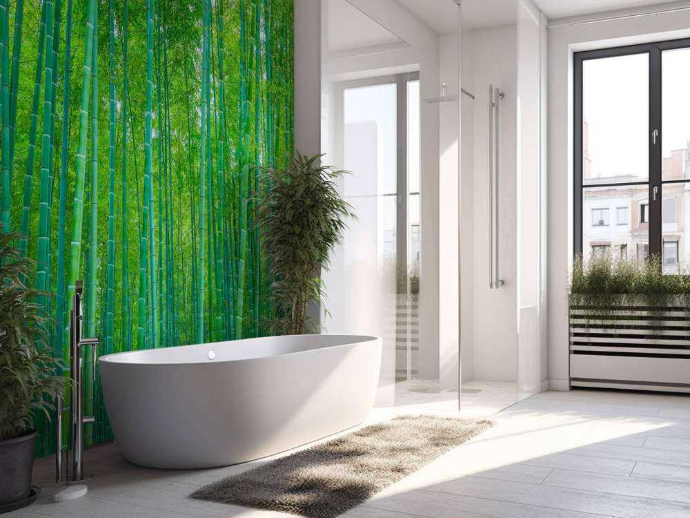 A green bamboo forest