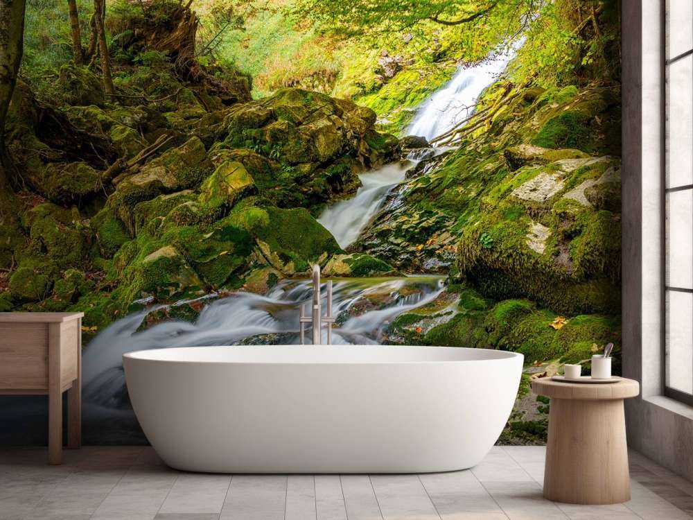 Waterfall in the middle of the forest