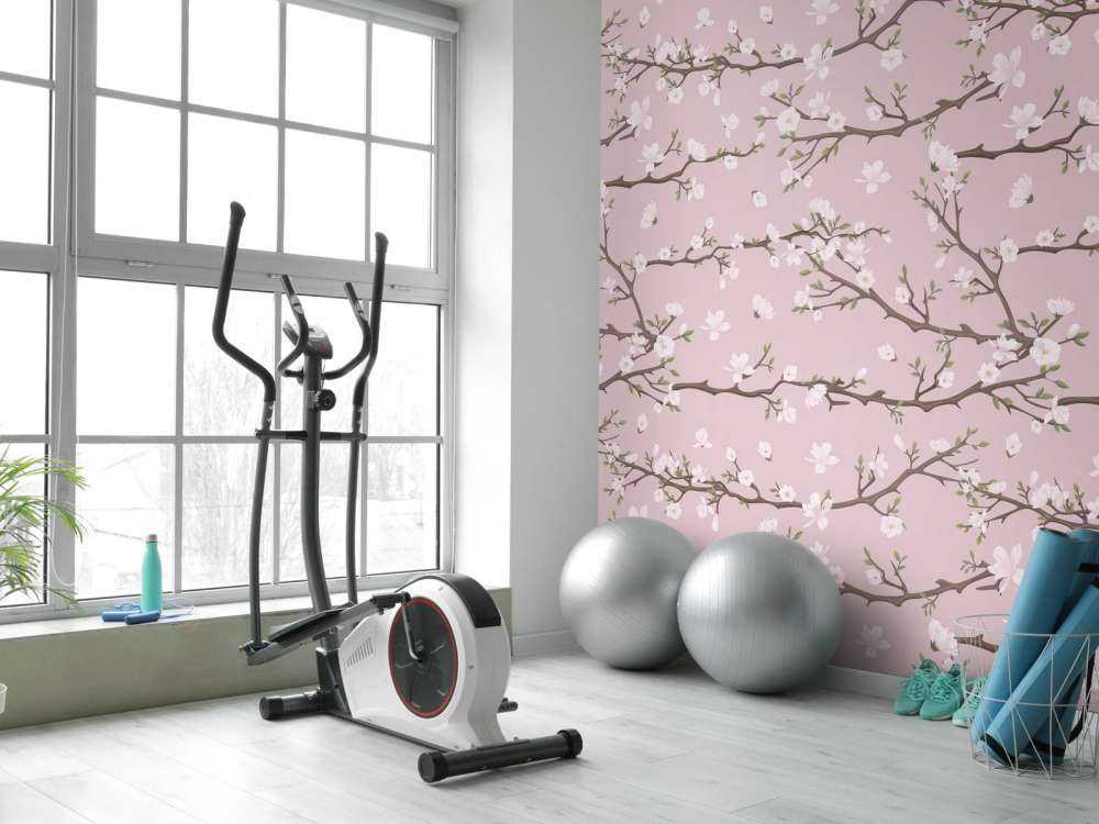 Pink spring branches