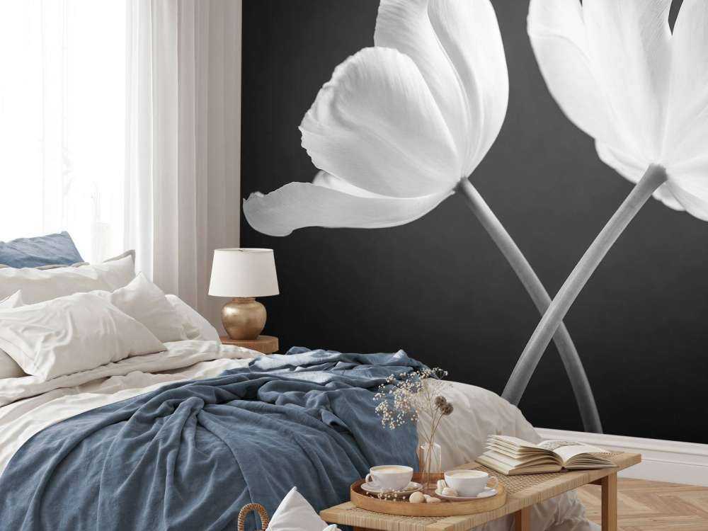 Crossed tulips