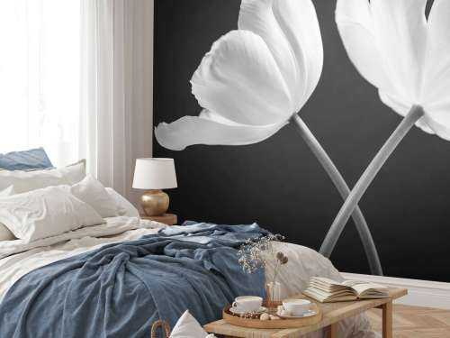 Crossed tulips