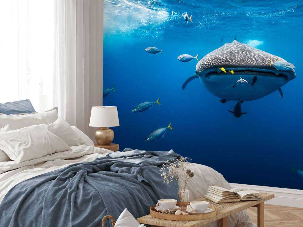 Whale shark escorted by a school of bonito