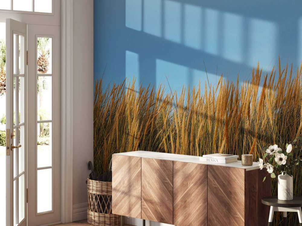 Dune grass