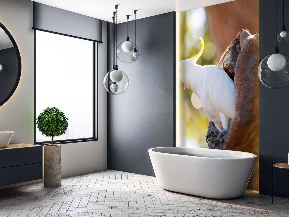 Cockatoo in tree cavity