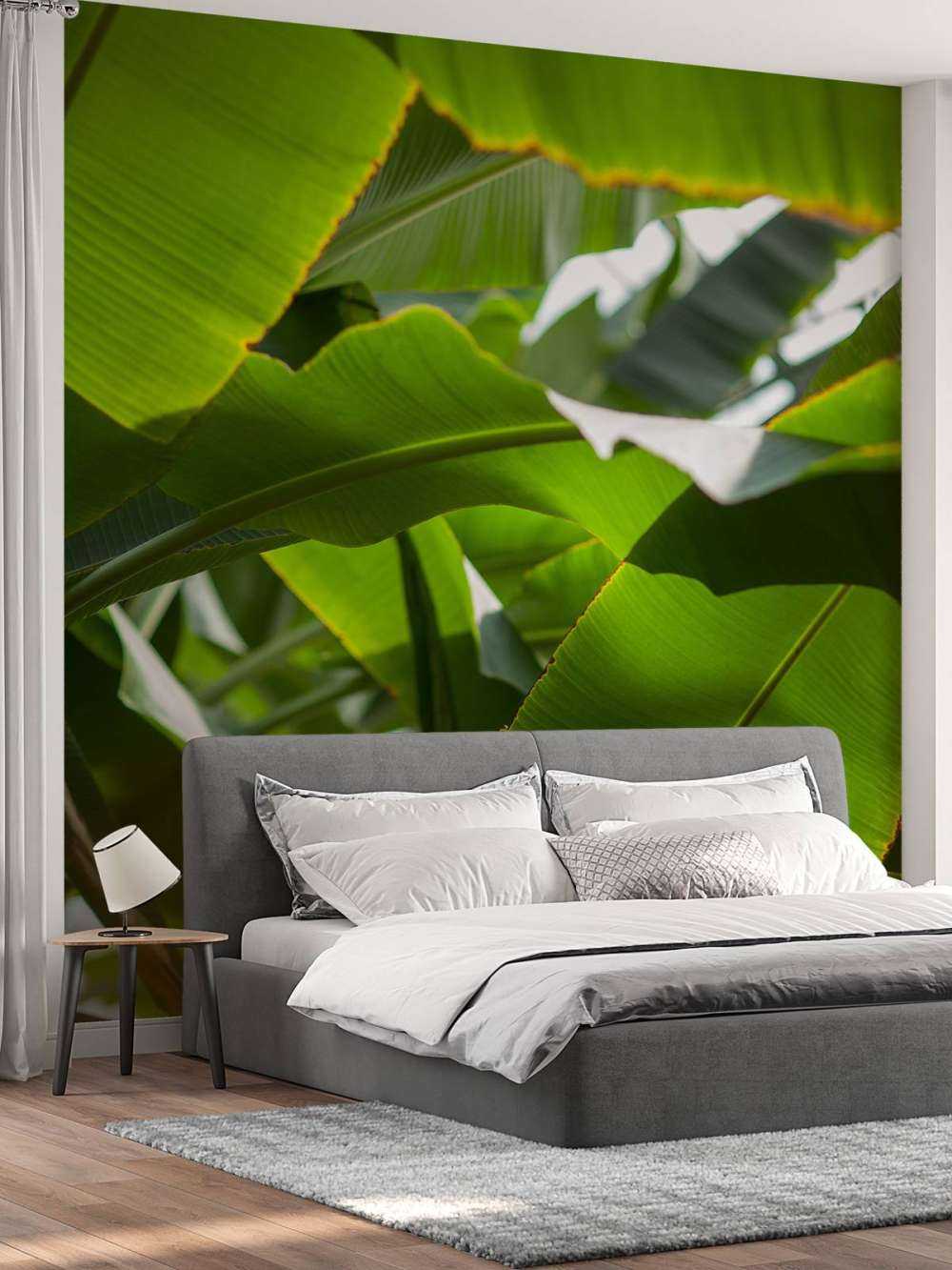 Palm leaves
